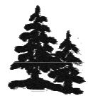 Drawing of Pines on shore.