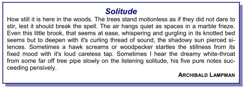 "Solitude"