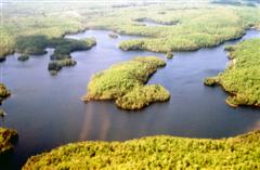 Site Photo Thumbnail