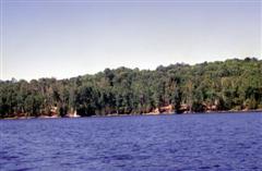 Only 1/2 of Beacrobra