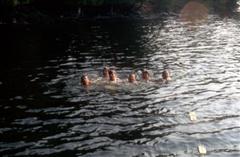 Swimming at Beacrobra